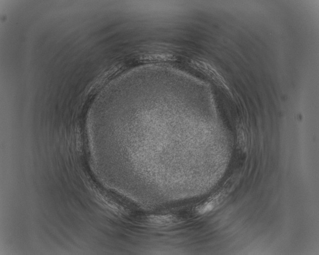 X0000077290457200611031554