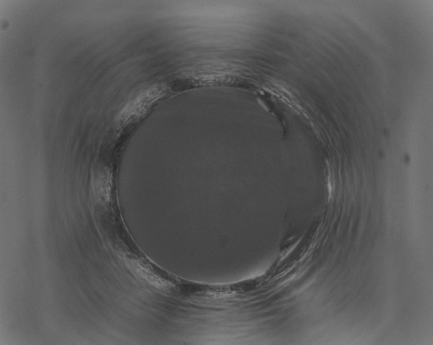 X0000077290458200611031554