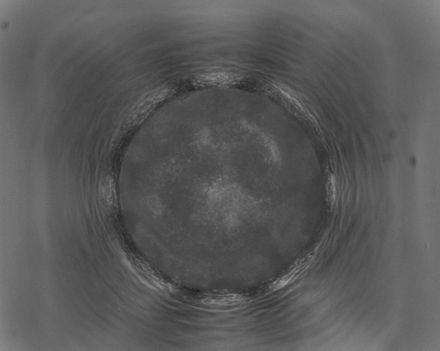 X0000077290459200611031554