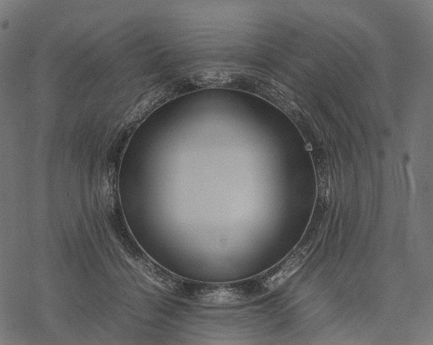 X0000077290460200611031554