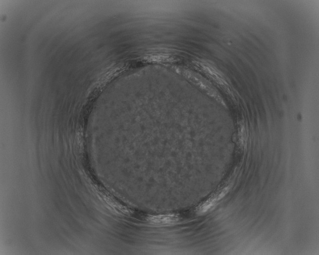 X0000077290461200611031554