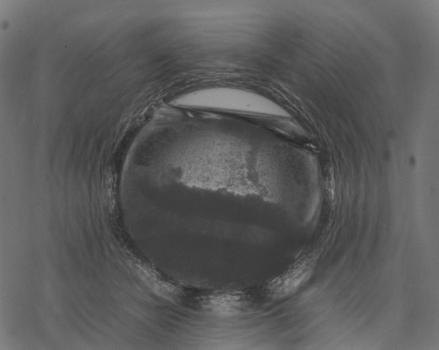 X0000077290462200611031554