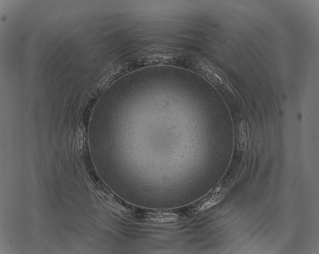 X0000077290463200611031554