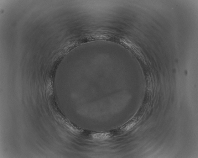 X0000077290465200611031554