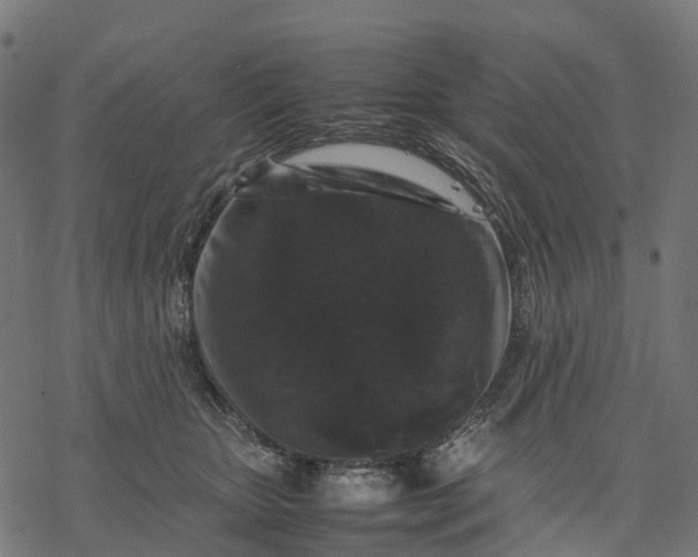 X0000077290467200611031555