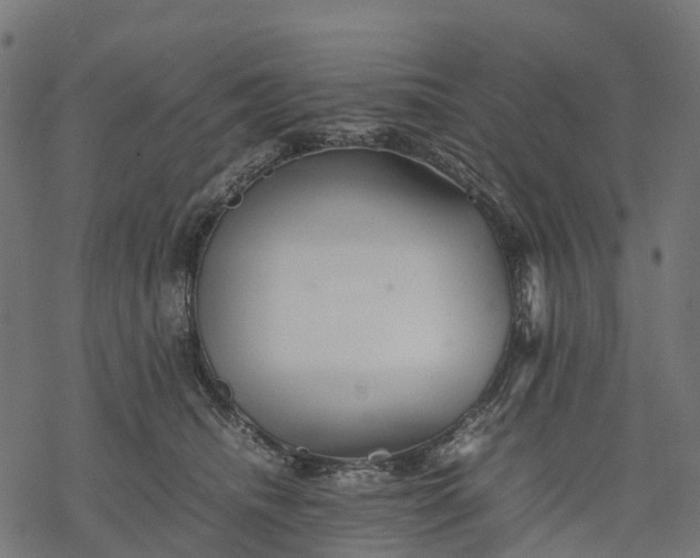 X0000077290468200611031555