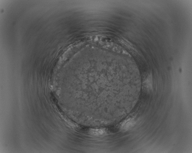 X0000077290469200611031555