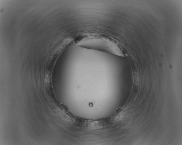 X0000077290472200611031555