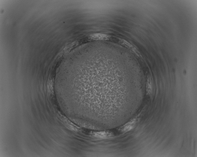 X0000077290473200611031555