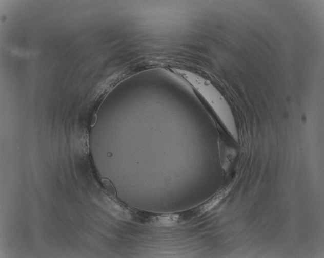 X0000077290474200611031555