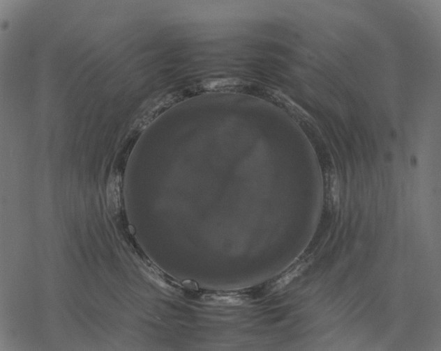 X0000077290475200611031555