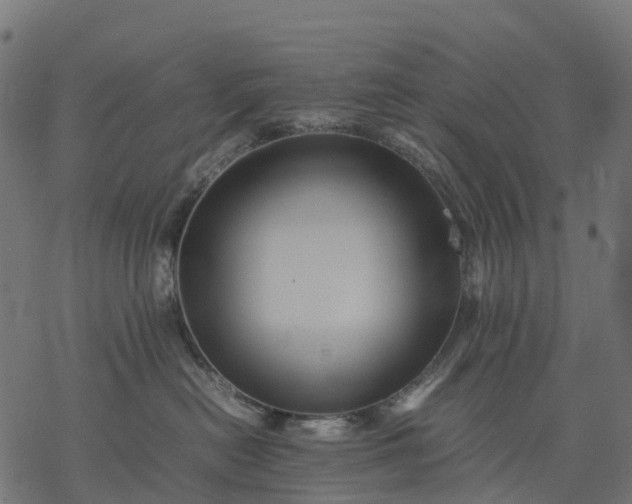 X0000077290478200611031555