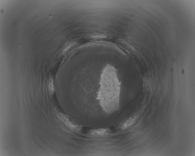 X0000077290479200611031555