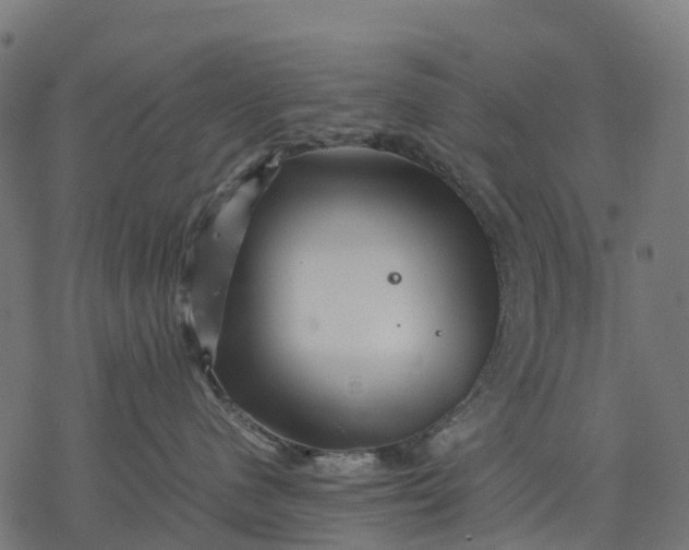 X0000077290480200611031555