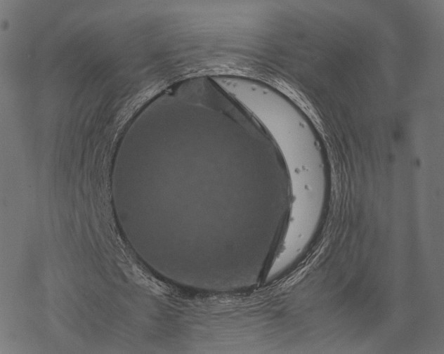 X0000077290481200611031554