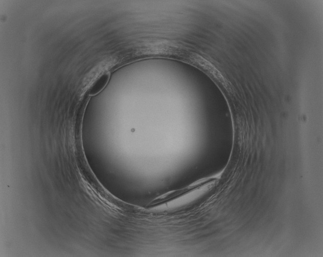 X0000077290482200611031554