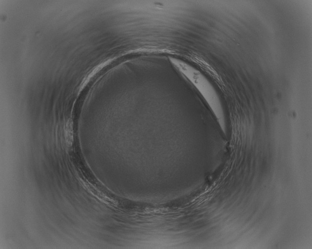 X0000077290484200611031554