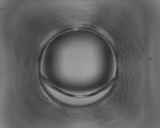 X0000077290485200611031554