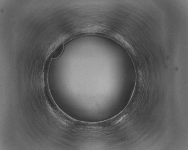 X0000077290486200611031554