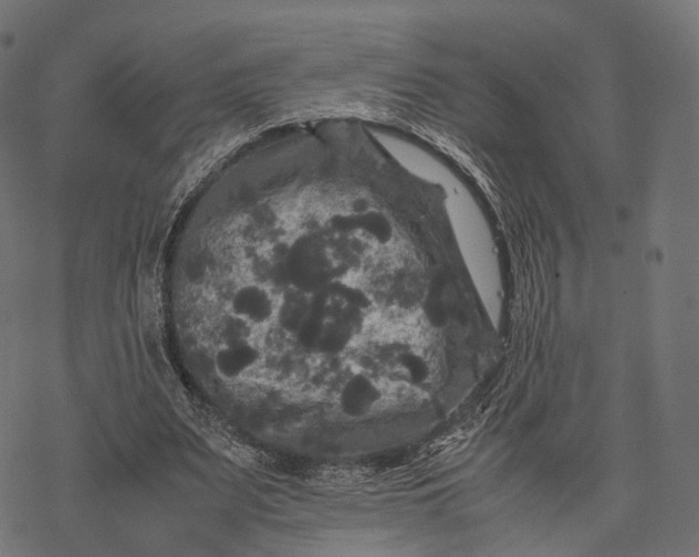 X0000077290487200611031554