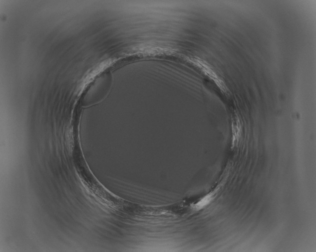 X0000077290488200611031554