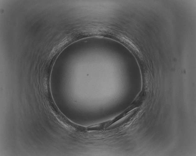 X0000077290489200611031554