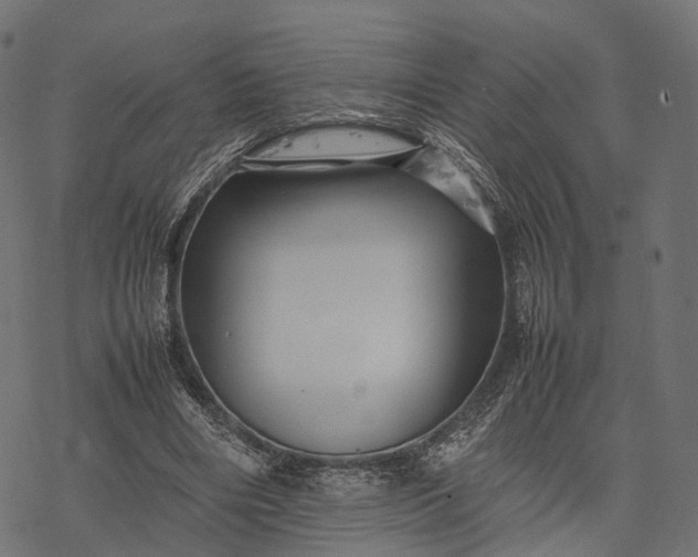 X0000077290490200611031554