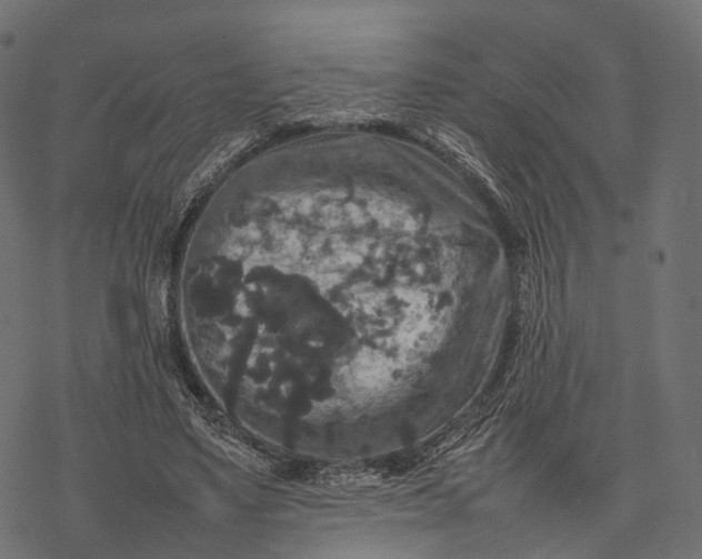 X0000077290491200611031554