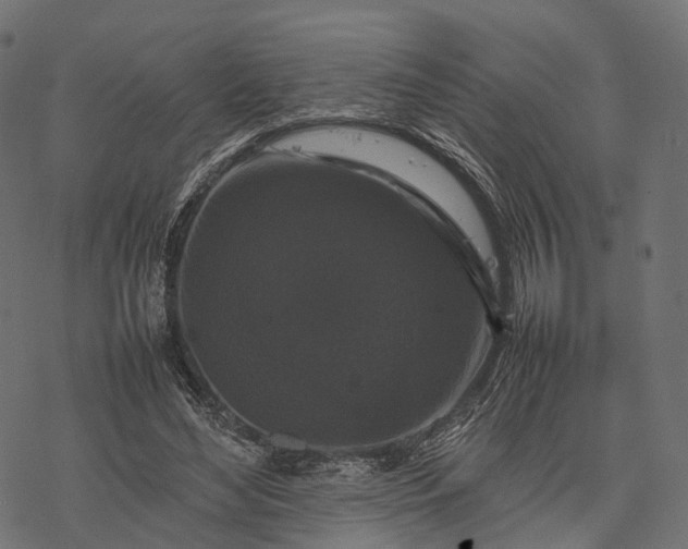 X0000077290492200611031554