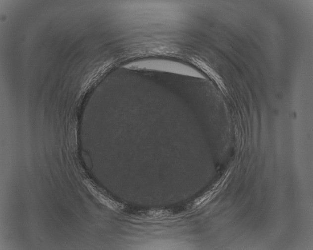 X0000077290493200611031554