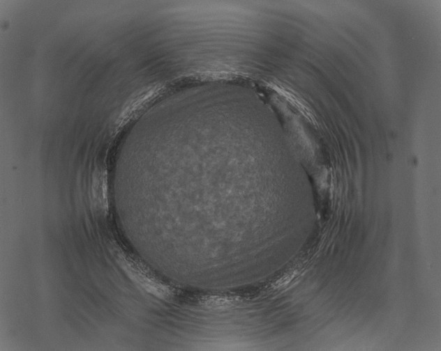 X0000077290494200611031554