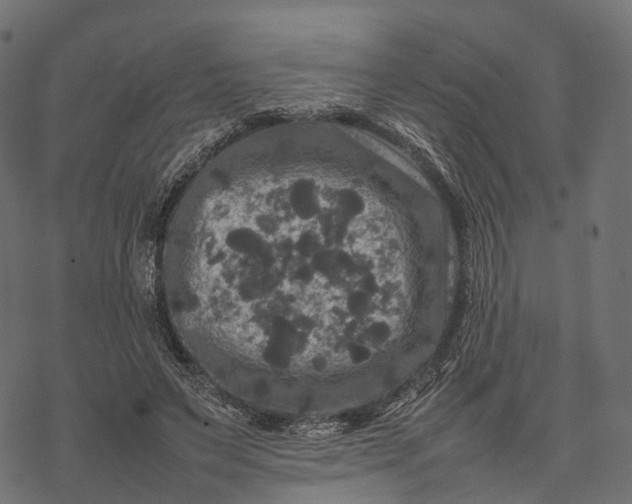 X0000077290495200611031554