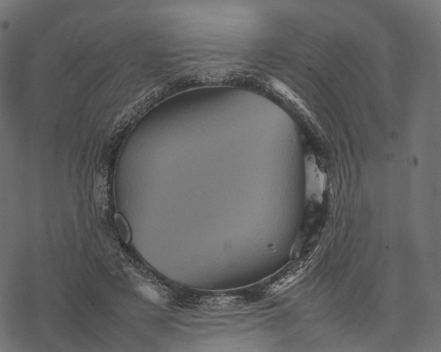 X0000077290497200611031554