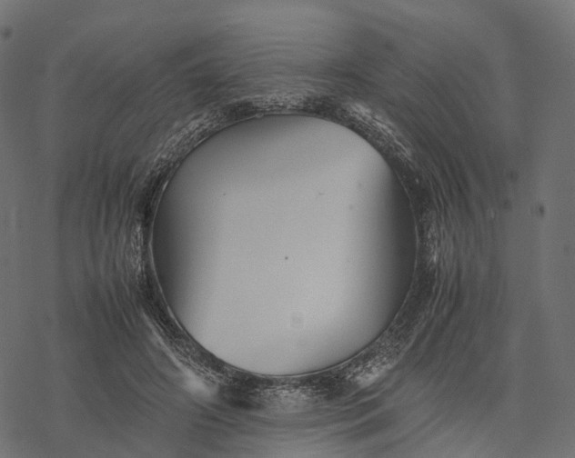 X0000077290498200611031554