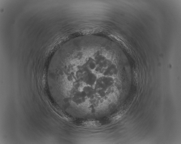 X0000077290499200611031554