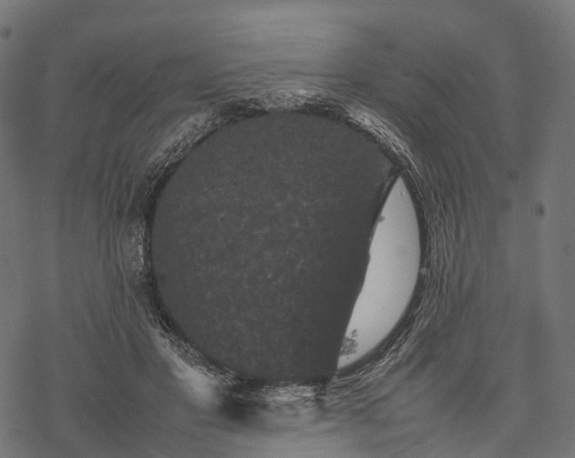 X0000077290501200611031554