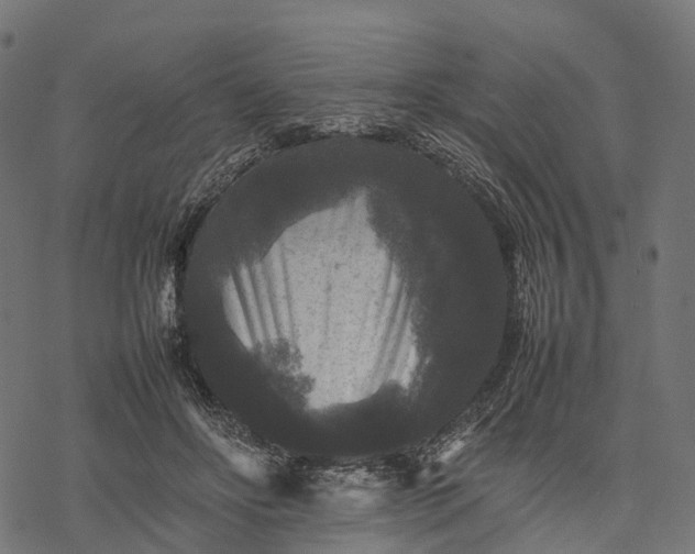 X0000077290502200611031554