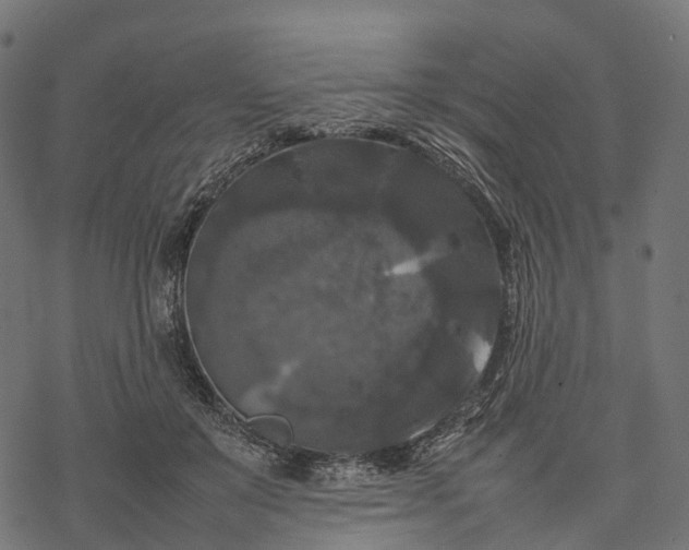 X0000077290503200611031554