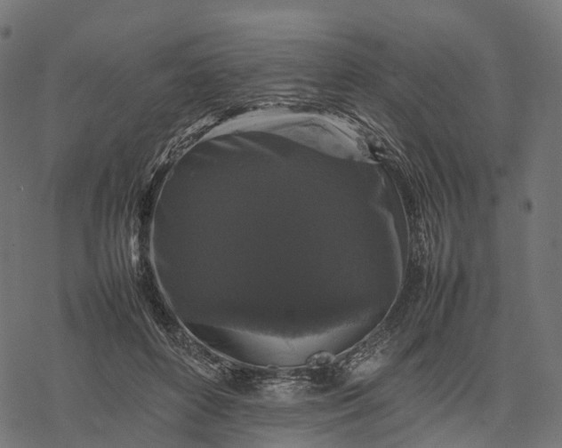 X0000077290504200611031554