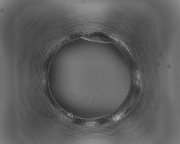 X0000077290505200611031554