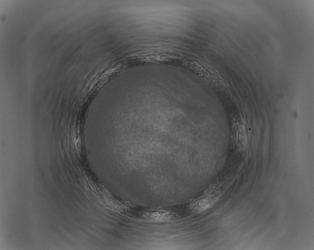 X0000077290506200611031554