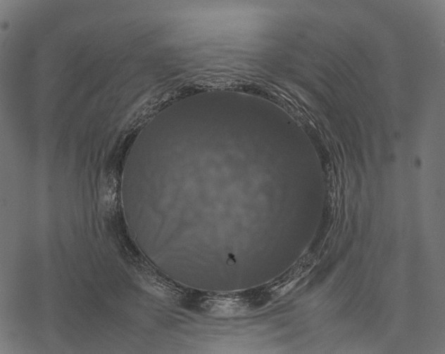 X0000077290507200611031554