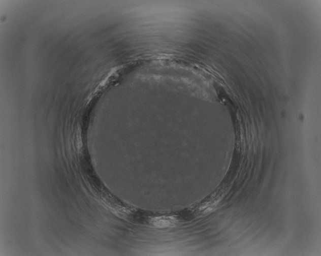 X0000077290508200611031554