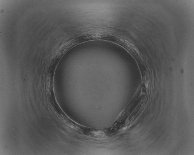 X0000077290509200611031554