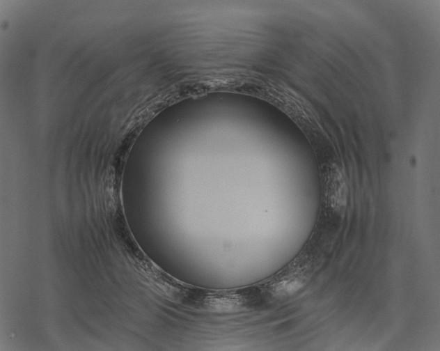 X0000077290510200611031553