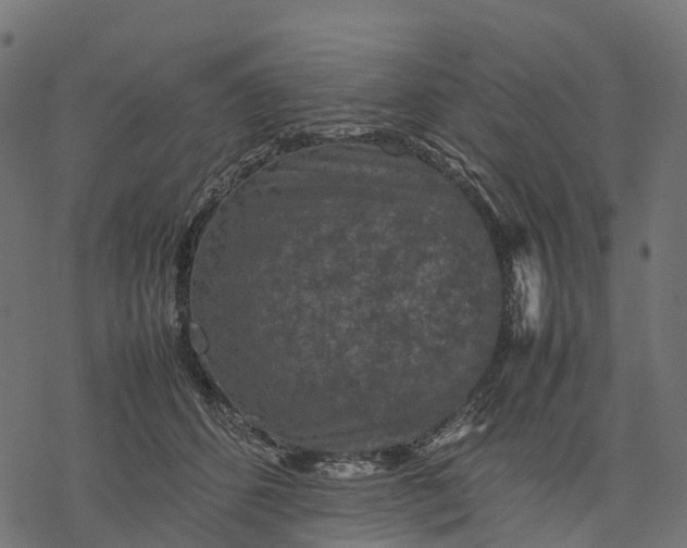 X0000077290512200611031553