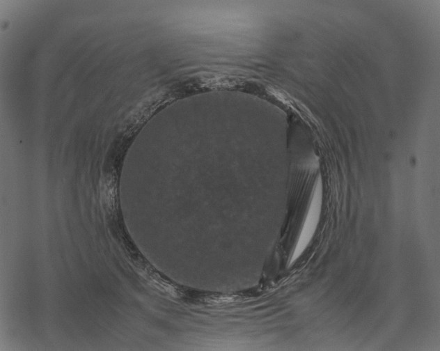 X0000077290513200611031553