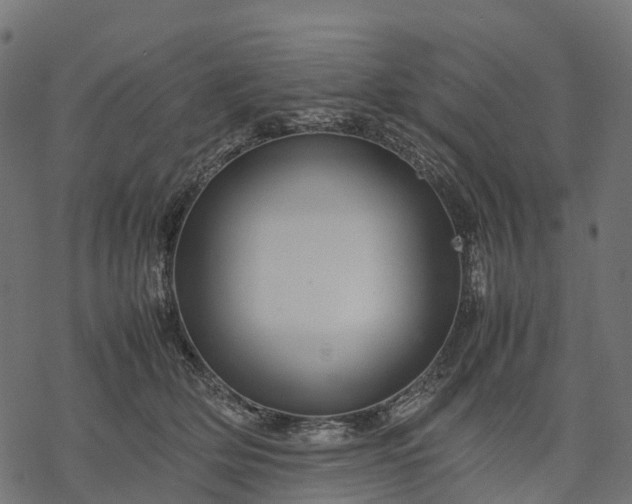 X0000077290514200611031553