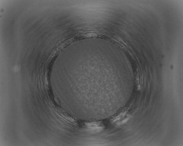 X0000077290516200611031553