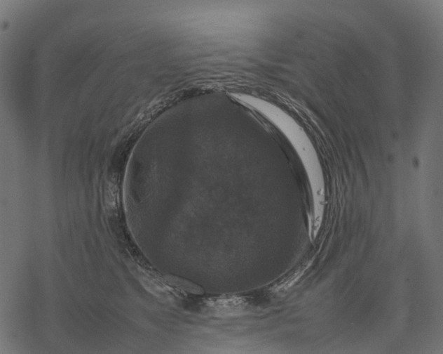 X0000077290517200611031553